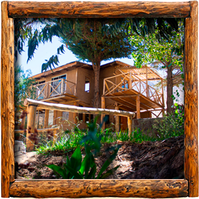 Cabañas Elqui Paraiso