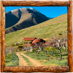 Cabañas Elqui Paraiso