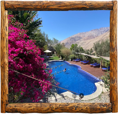 Cabañas Elqui Paraiso