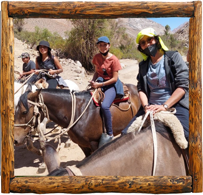 Cabañas Elqui Paraiso