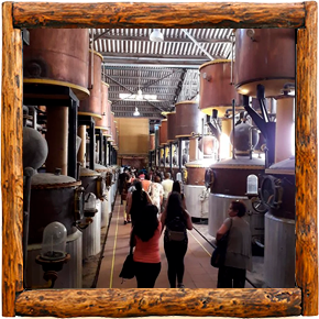 Cabañas Elqui Paraiso