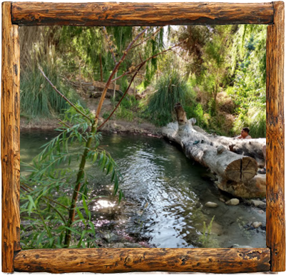 Cabañas Elqui Paraiso