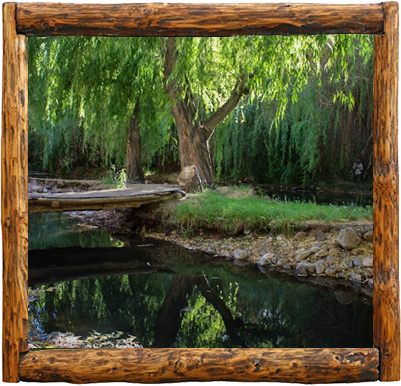 Cabañas Elqui Paraiso