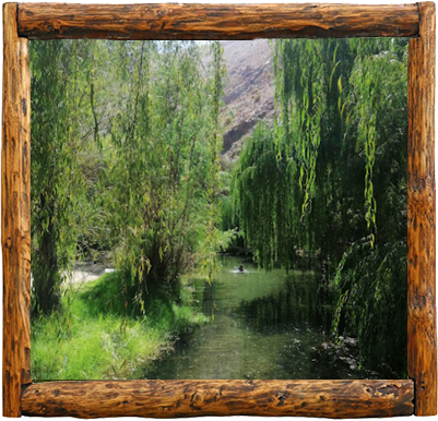 Cabañas Elqui Paraiso