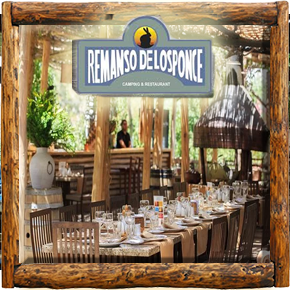 Cabañas Elqui Paraiso