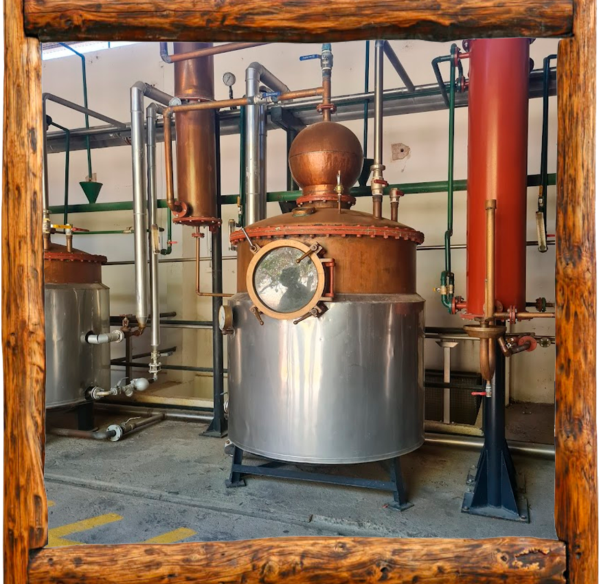 Cabañas Elqui Paraiso