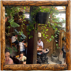 Cabañas Elqui Paraiso