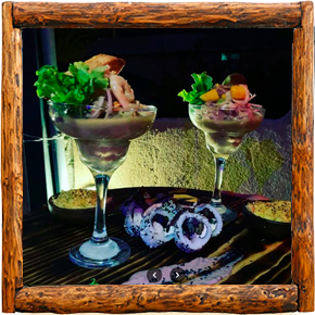 Cabañas Elqui Paraiso