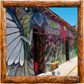 Cabañas Elqui Paraiso